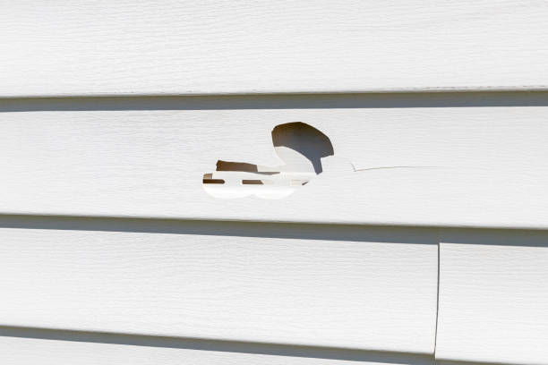 Siding Removal and Disposal in Rosanky, TX